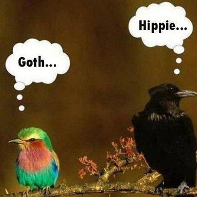 goth hippie