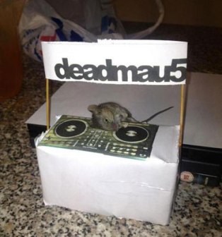 deadmaus