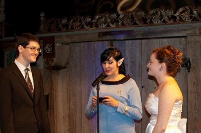 geek wedding 1
