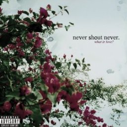 never